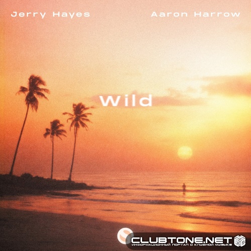 Jerry Hayes & Aaron Harrow - Wild (Extended Mix)