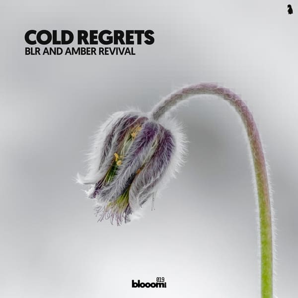 BLR, Amber Revival - Cold Regrets